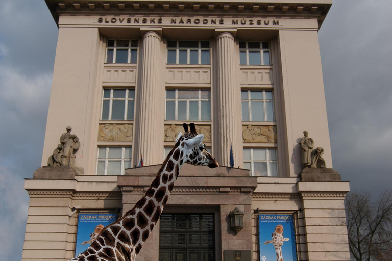 Bratislava: Natural History Museum Entry Ticket Natural History Museum Entry Ticket