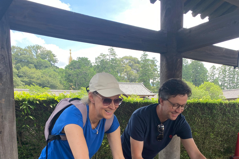 Från Osaka: Nara 5 timmar. Upptäck den första huvudstaden i Japan