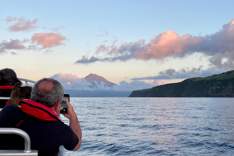 Isola di Faial: Tour unico in barca al vulcano Capelinhos