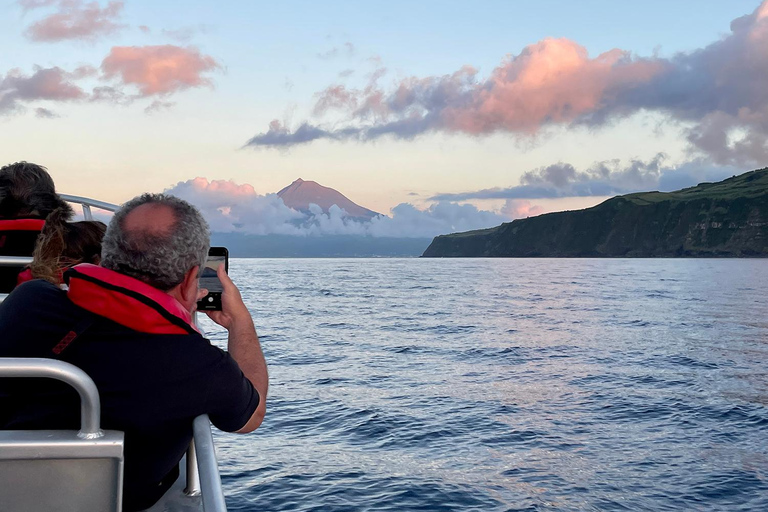 Île de Faial : Tour en bateau unique au volcan Capelinhos