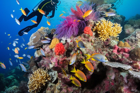 Yanbu: Beach Diving Experience with Instructor