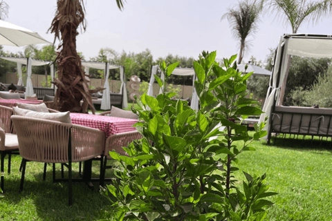 From Marrakesh: Pool Day Pass in Atlas Mountains with Lunch Refreshing Pool Escape: Enjoy Lunch and Easy Pickup