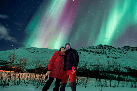 Tromsø: Small-Group Aurora Tour with Free Photos (8 Hours)