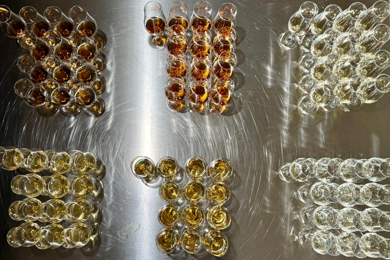 Dresden: Whisky Tasting Experience with Expert Guidance