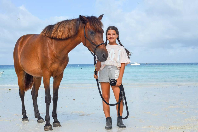 Zanzibar: passeggiata a cavallo sulla spiaggia e bagno con il cavallo