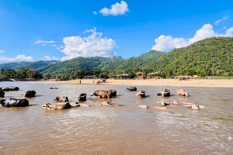 Chiangmai Halbtagestour - Wasserfall & Tubing