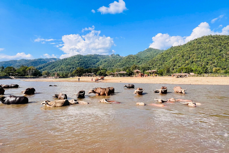 Chiangmai Halbtagestour - Wasserfall & Tubing