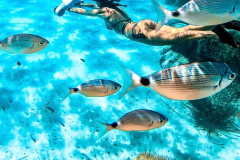 Cannes, Lérins Islands: Visit the eco-museum with a water jet propulsion system Full day