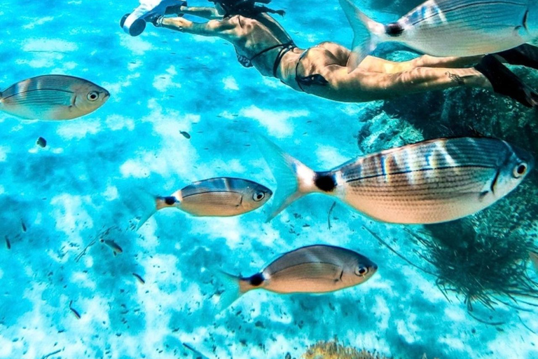 Cannes, Lérins Islands: Visit the eco-museum with a water jet propulsion system Full day