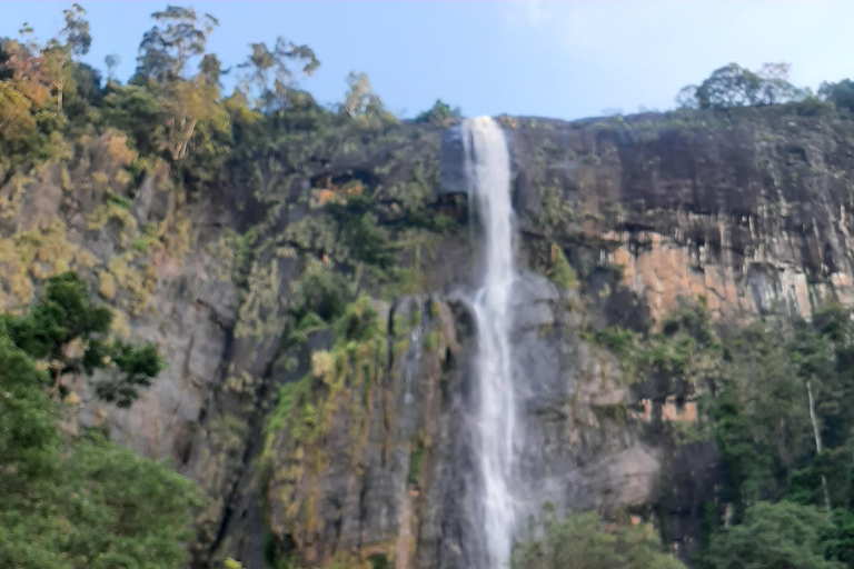 From Colombo or Negombo: Ella Day Trip with nine arch bridge