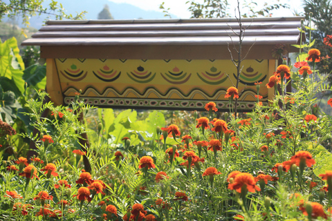 Batumi: Sweet Excursion and Mtirala Forest