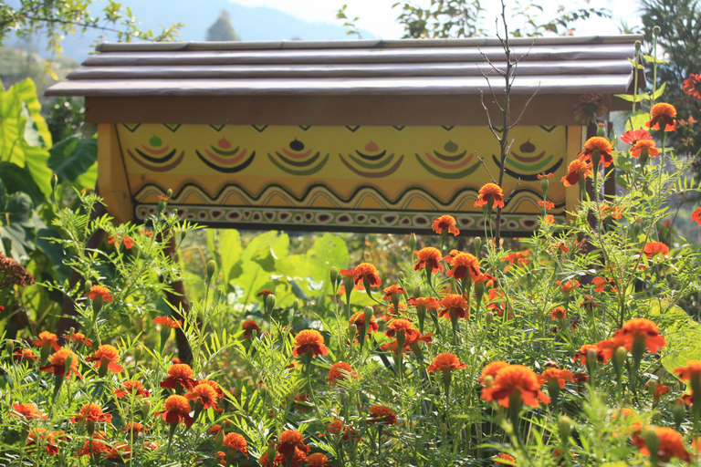 Batumi: Sweet Excursion and Mtirala Forest