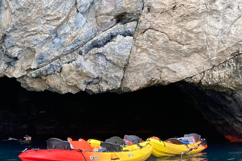 La Herradura: tour in kayak e snorkeling nella riserva di Cerro Gordo