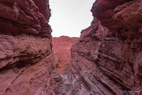 De Salta: Viagem guiada de 2 dias a Cafayate e Salinas Grandes