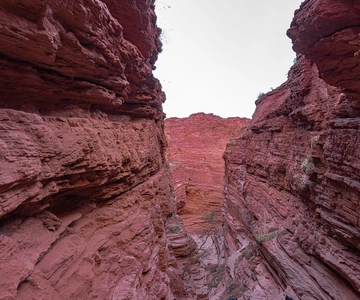De Salta: Viagem guiada de 2 dias a Cafayate e Salinas Grandes