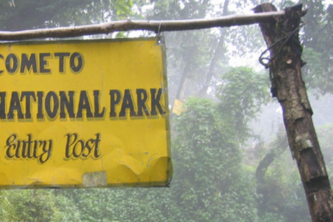 Kathmandu: Shivapuri National park Day Hiking