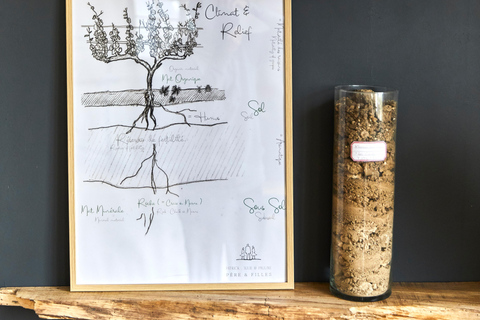 Cramant: OP2 Masterclass 5 Champagner