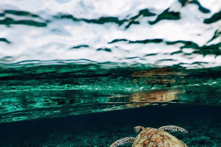 Bohol Dolphin Watching & Sea Turtle Swim Island Hopping Tour Pier – Meet-up Point
