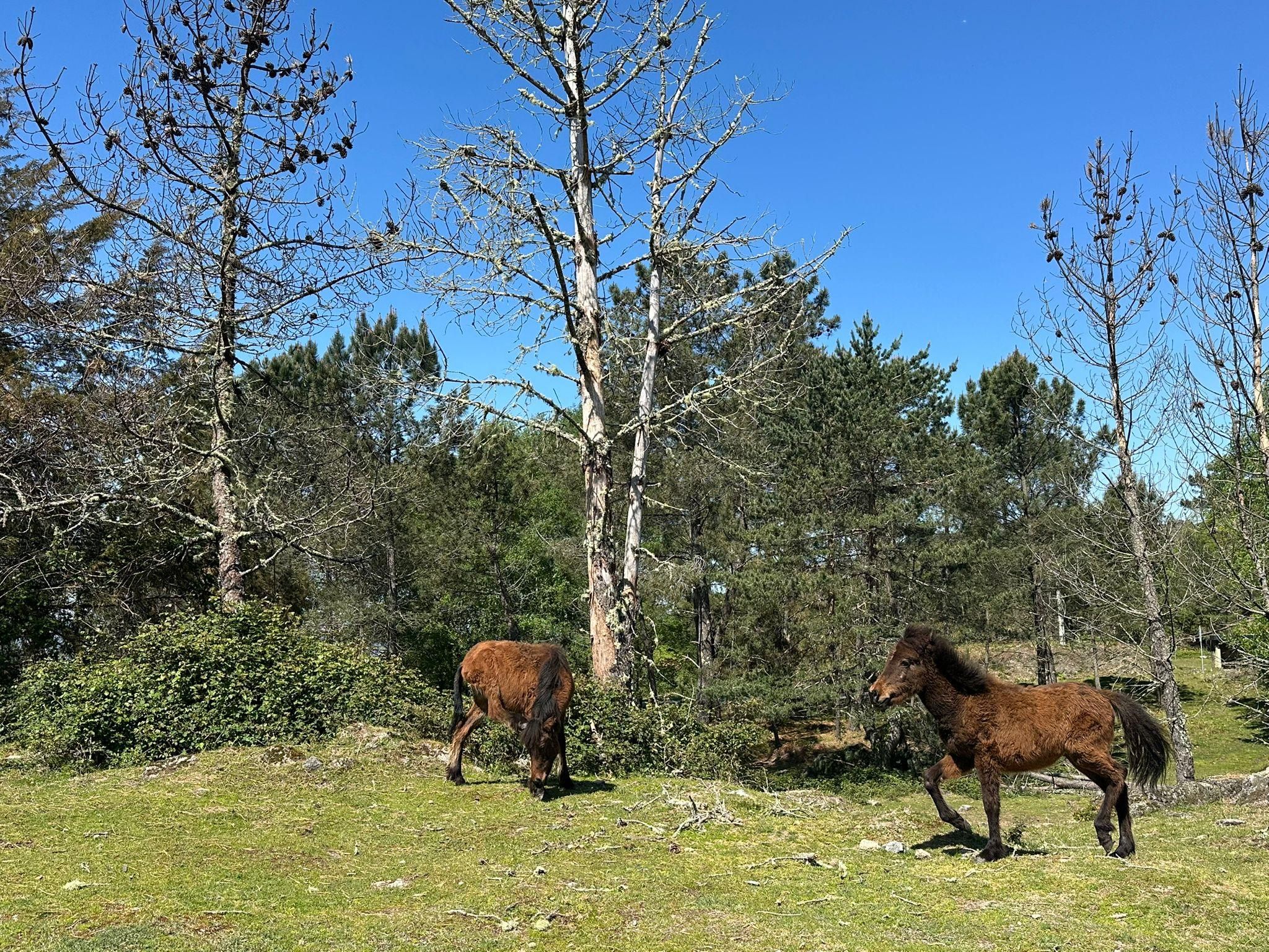 Ab Braga: Mezio & Soajo – Traditionen von Gerês