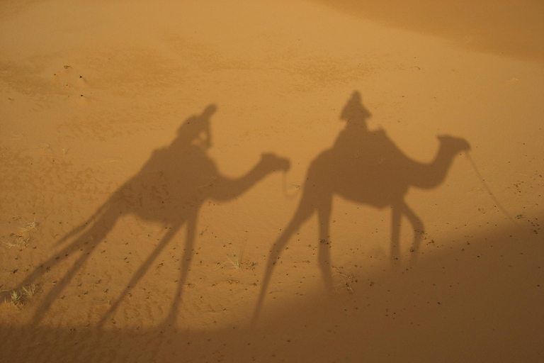 Agadi: Excursión de un día al desierto del Sahara con almuerzo