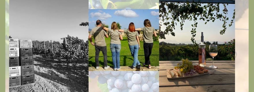 Majorque : visite des vignobles et de la cave Butxet avec dégustation