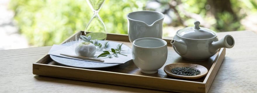 Visite à la journée : Château, jardins et domaine historique de Nagoya