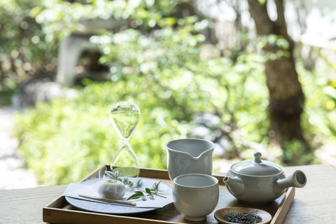 Visite à la journée : Château, jardins et domaine historique de Nagoya