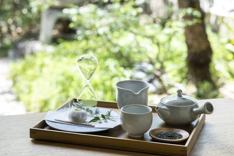 Tour di 1 giorno: Castello, giardini e tenuta storica di Nagoya