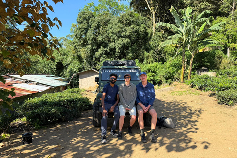 All-Inclusive Knuckles Mountain Range Full-Day Hiking Tour From Sigiriya/Dambulla:Knuckles Mountain Range Full-Day Tour