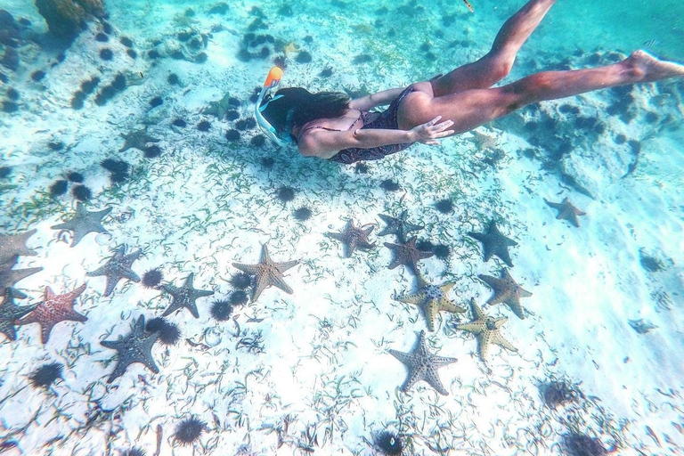 Sansibar: Blaue Lagune, Seesterne, Paje Strand und Maalum HöhleSansibar: Blaue Lagune, Seesterne, Jambiani und Maalum-Höhle