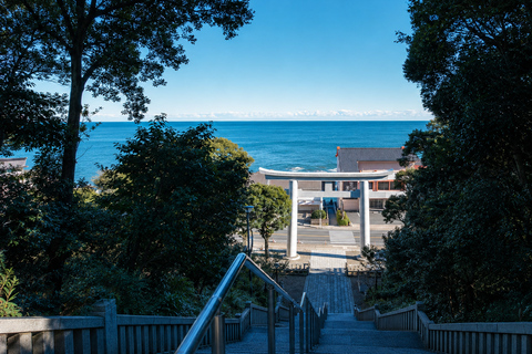 Tokyo: Hitachi Seaside Park, Oarai Shrine & Seafood Day Trip