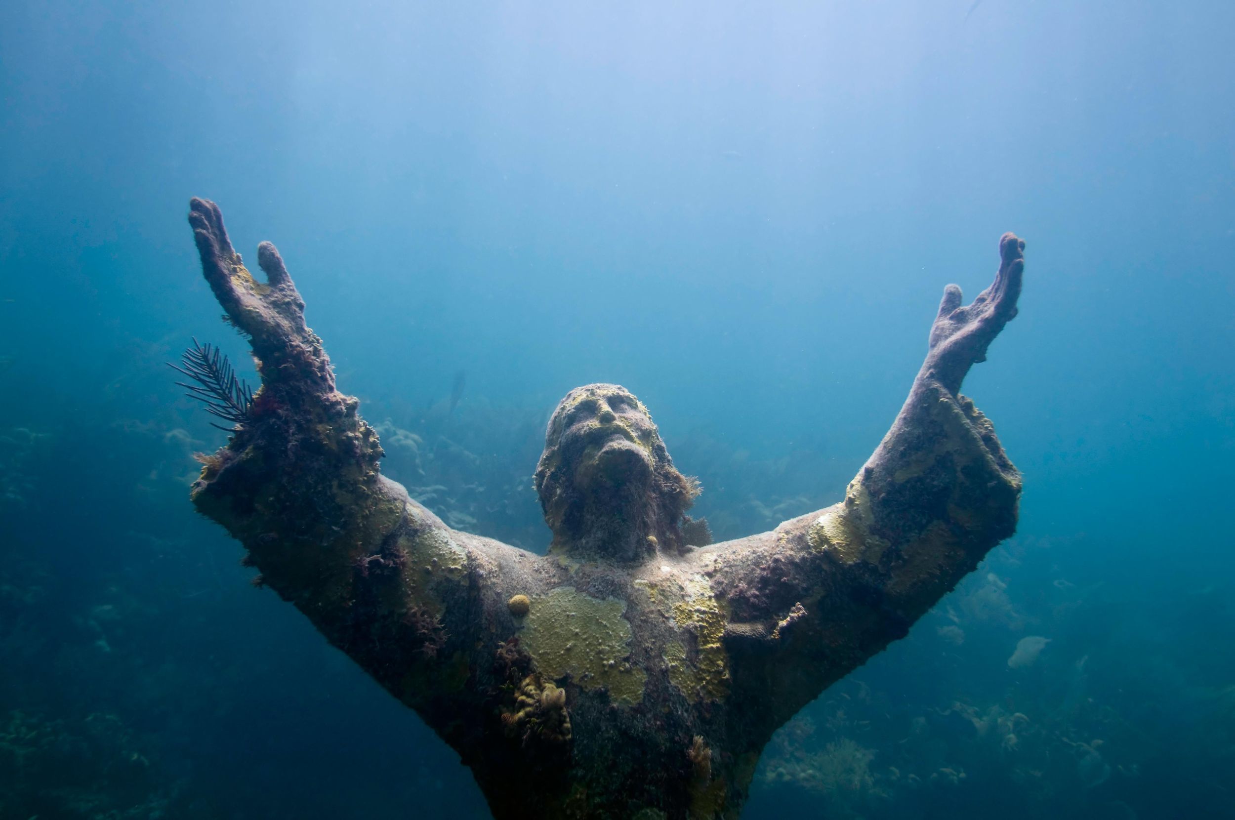 Schnorcheln am Christ of the Abyss – der ikonischen Statue von Key Largo