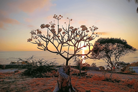 من مدينة أواكساكا: تجربة الغوص الحر في بويرتو إسكونديدو
