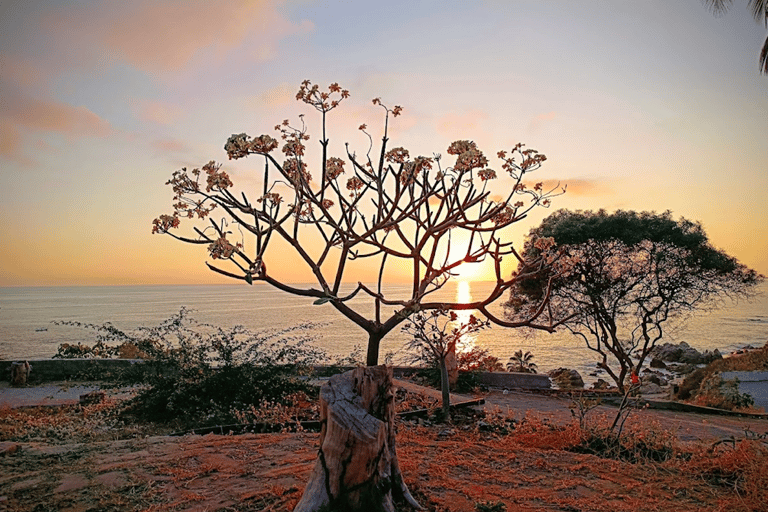 من مدينة أواكساكا: تجربة الغوص الحر في بويرتو إسكونديدو