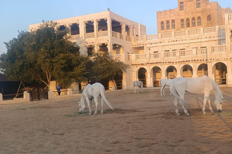 Doha Heritage Tour