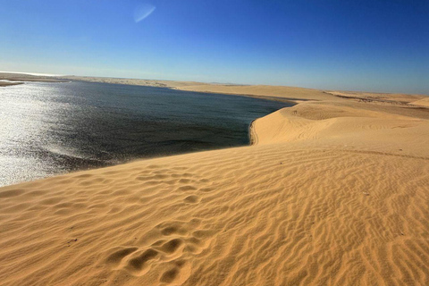 Doha:Inland sea Desert Safari Qatar, Dune Bashing ExperienceGemeinsame Tour mit Wüstensafari, Kamelritt und Binnenseebesuch