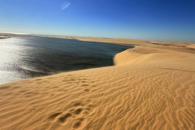 Doha:Inland sea Desert Safari Qatar, Dune Bashing ExperienceGemeinsame Tour mit Wüstensafari, Kamelritt und Binnenseebesuch