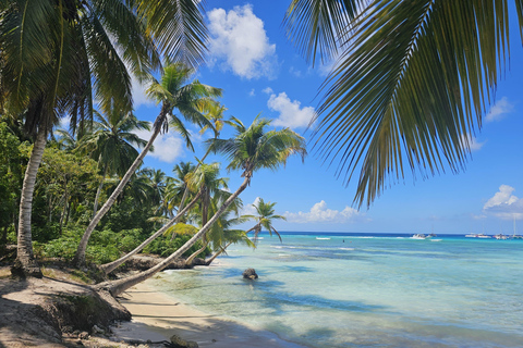VIP tour to Saona Island by speedboat with a visit to paradise beaches SAONA ISLAND VIP SPANISH