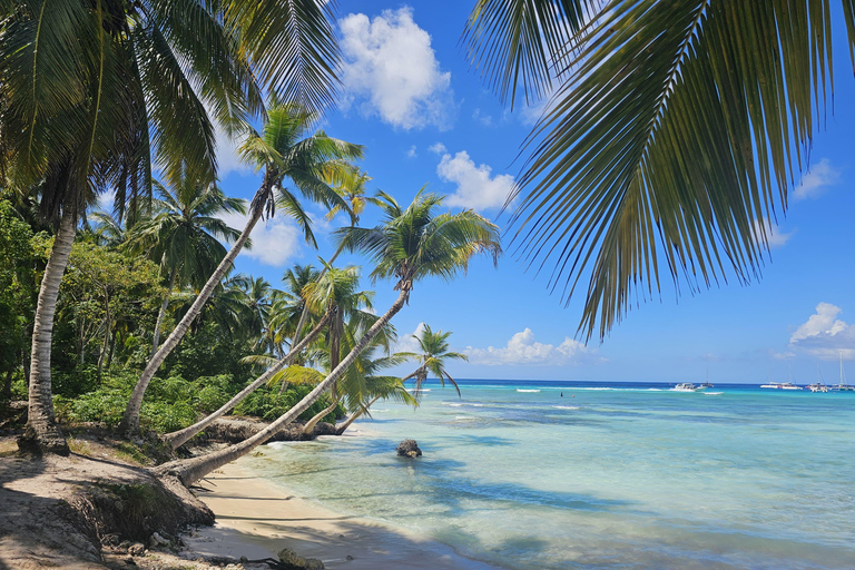 VIP tour to Saona Island by speedboat with a visit to paradise beaches SAONA ISLAND VIP SPANISH