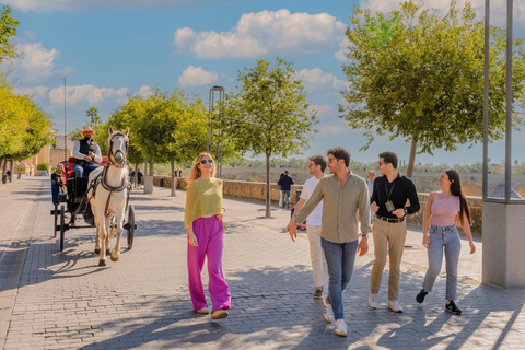 The Best From Seville: Granada and Córdoba in One Day Regular Option English Guide