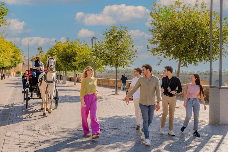 The Best From Seville: Granada and Córdoba in One Day Regular Option English Guide