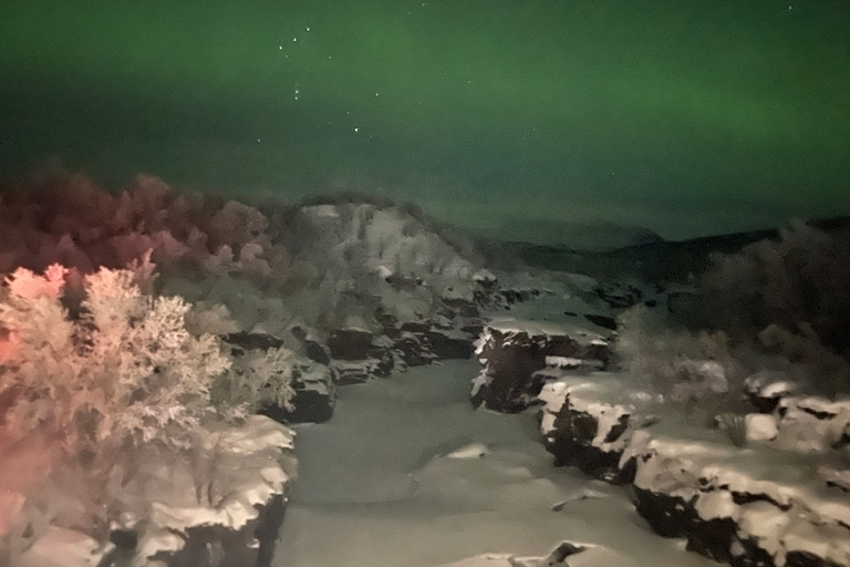 Excursión en minibús a la aurora boreal en el Parque Nacional de Abisko