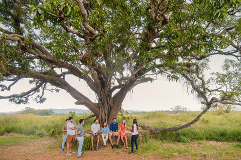 Goa: Excursão à Velha Goa e à Ilha de Divar com almoço