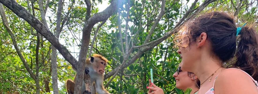 Visite d'une journée de Colombo à Galle, fabrique de thé et île de la cannelle