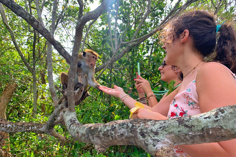 Galle: Koggala River Boat Safari with Monkeys Birds & Nature