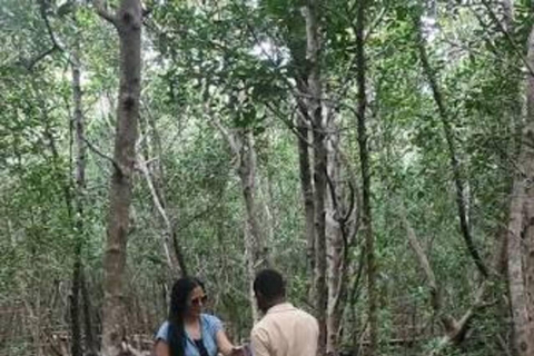 Zanzibar: Jozani Forest, Salaam Cave & Mtende Beach Tour Private Tour With Transfer But Entry Fees are not Included