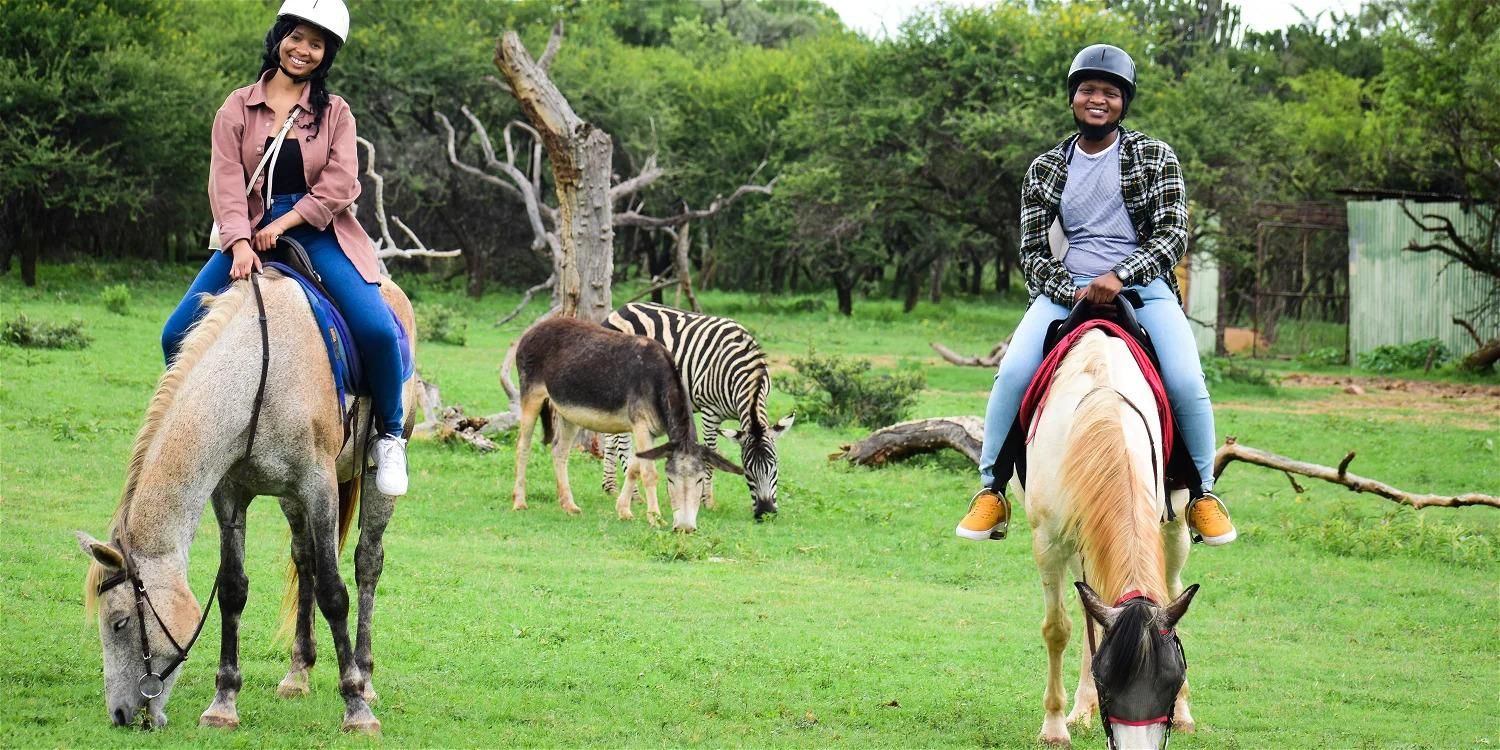 Magaliesberg: Wildtier-Safari zu Pferd ab Johannesburg