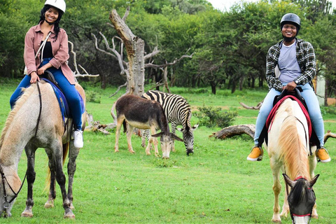 Magaliesberg Horseback Wildlife Safari From Johannesburg