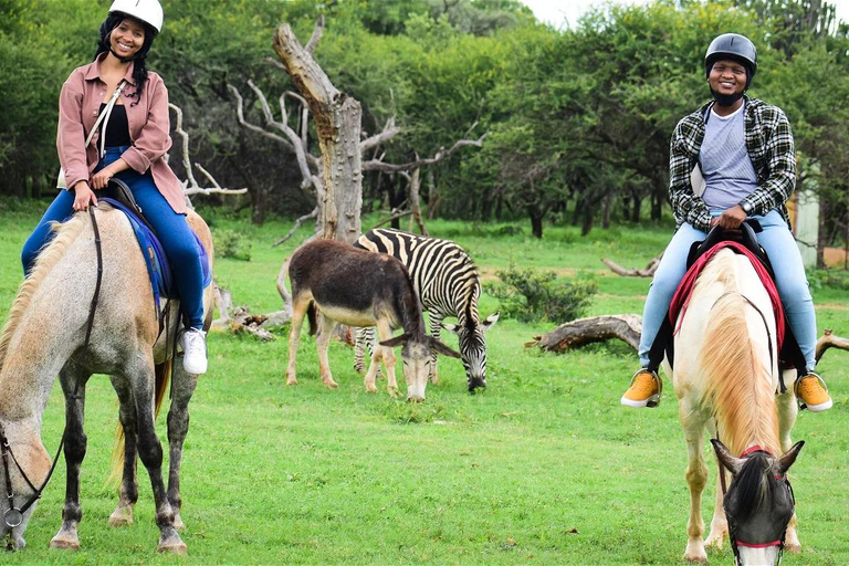 Magaliesberg Horseback Wildlife Safari From Johannesburg