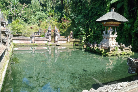 Alquiler de coches: La mejor excursión por las cascadas y terrazas de arroz de Ubud8 horas en coche Terrazas de arroz, cascadas, templo del agua